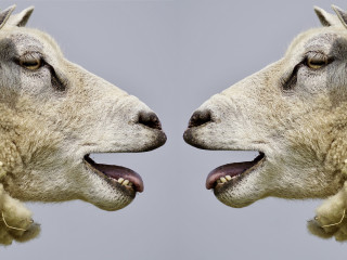 fortbildung gespraech1